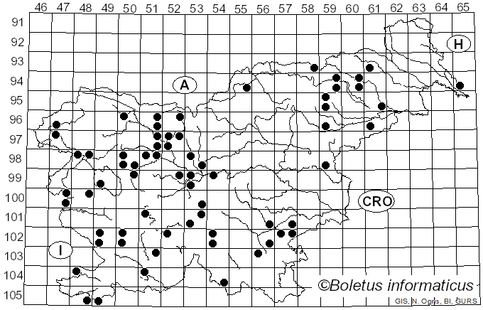 <i>Mutinus</i> Fr. (1849)