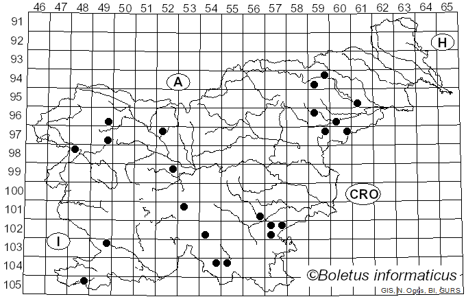 <i>Russula rubroalba</i> (Singer) Romagn. (1967)