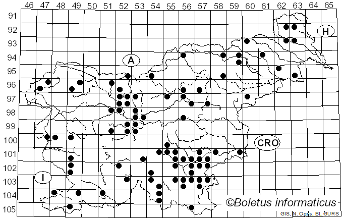 <i>Tyromyces</i> P. Karst. (1881)