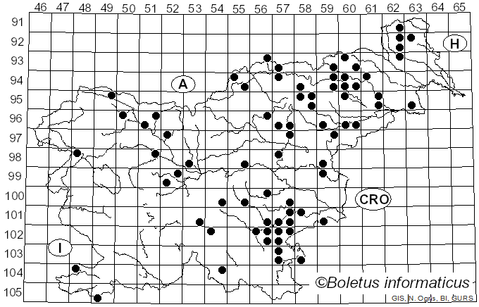 <i>Cantharellus pallens</i> Pilát (1959)