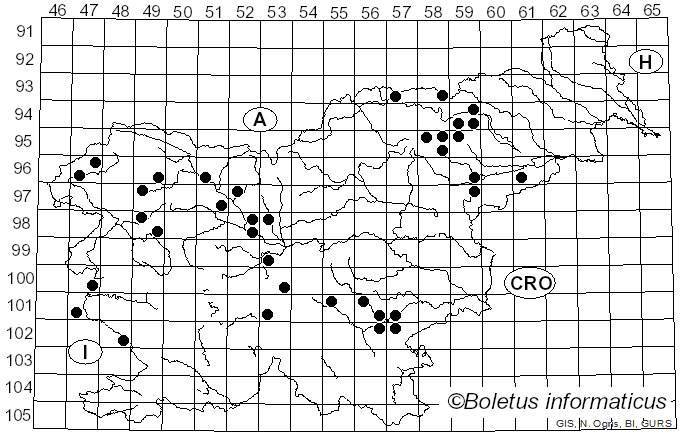 <i>Cortinarius flexipes</i> (Pers.) Fr. (1838)