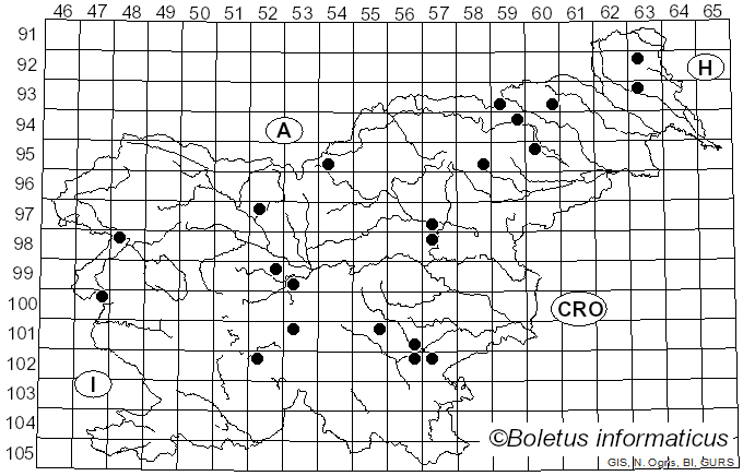 <i>Russula emetica</i> f. <i>longipes</i> Singer (1924)