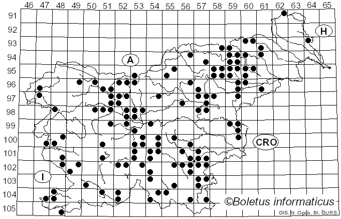<i>Echinoderma asperum</i> (Pers.) Bon (1991)