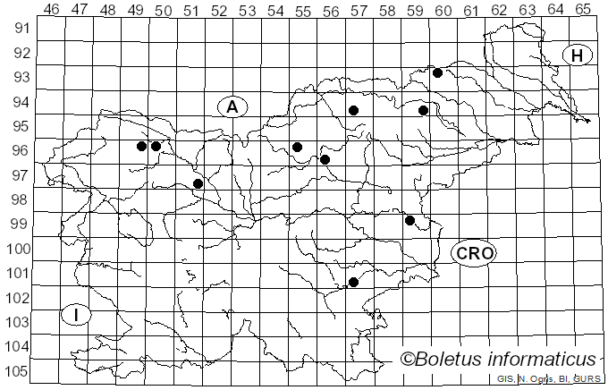 <i>Hygrophoropsis rufa</i> (D.A. Reid) Knudsen (2008)