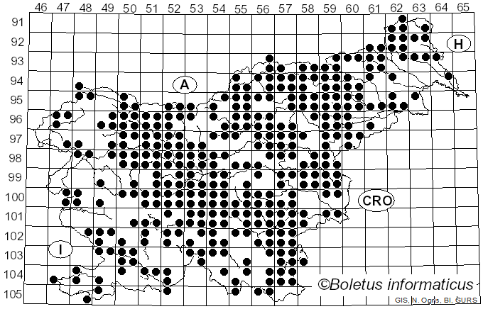 <i>Amanita rubescens</i> Pers. (1797)