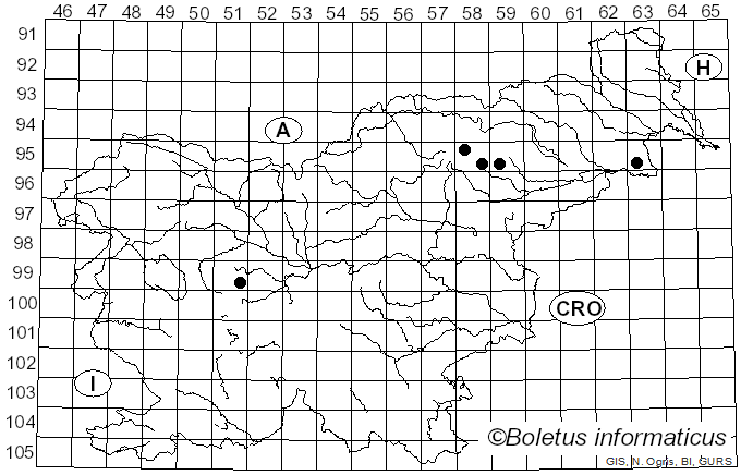 <i>Hydnotrya tulasnei</i> Berk. & Broome (1846)