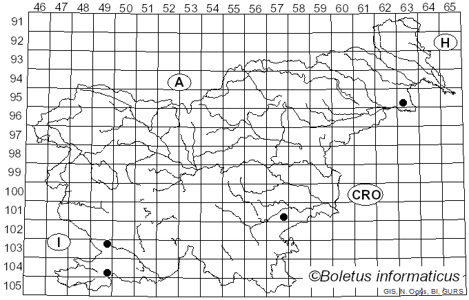 <i>Phylloscypha</i> Van Vooren (2020)