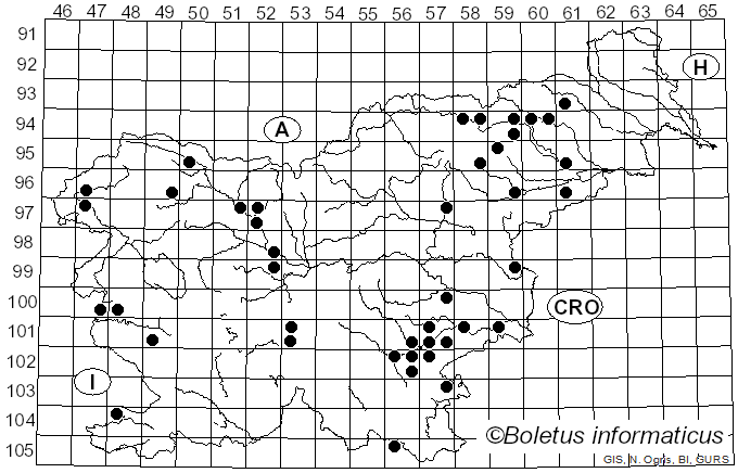 <i>Hemimycena cucullata</i> (Pers.) Singer (1961)