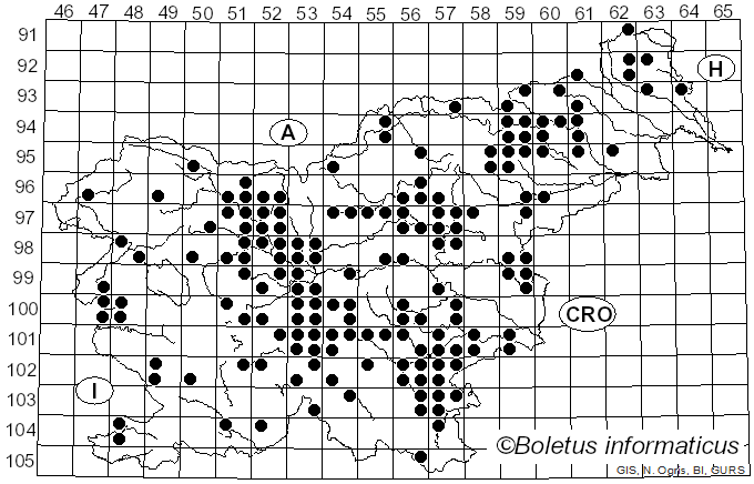 <i>Hygrophorus nemoreus</i> (Pers.) Fr. (1838)