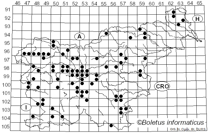 <i>Cuphophyllus pratensis</i> (Fr.) Bon (1985)