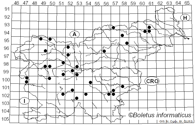 <i>Hydnellum suaveolens</i> (Scop.) P. Karst. (1880)