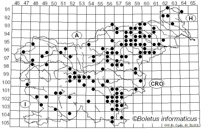 <i>Russula adusta</i> (Pers.) Fr. (1838)