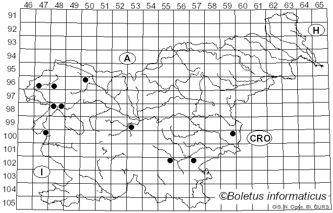 <i>Leucopaxillus gentianeus</i> (Quél.) Kotl. (1966)