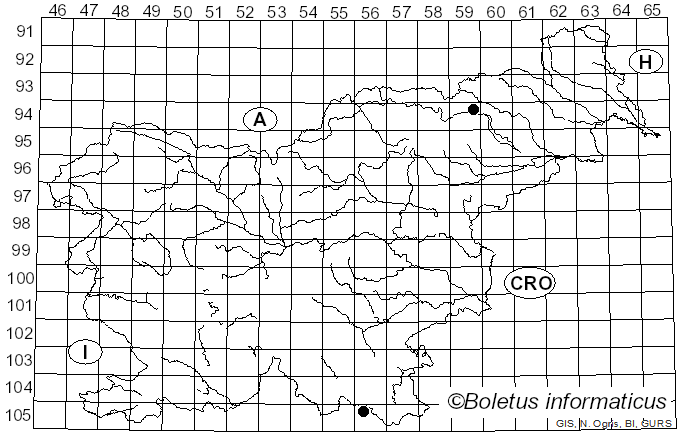 <i>Cortinarius scandens</i> Fr. (1938)