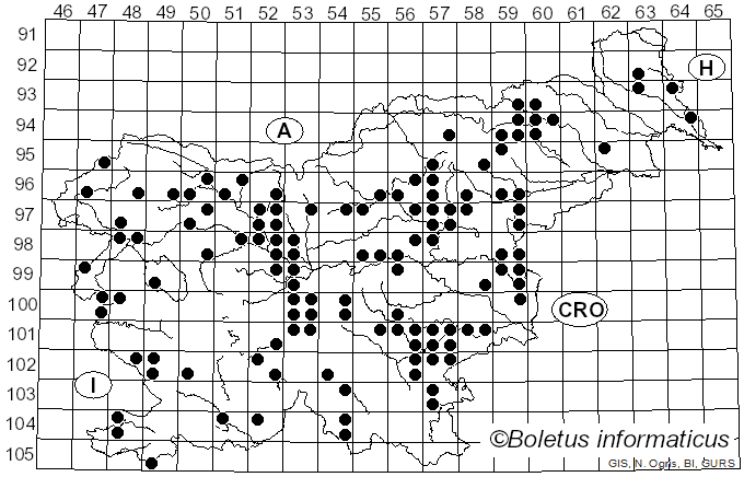<i>Clavariadelphus pistillaris</i> (L.) Donk (1933)