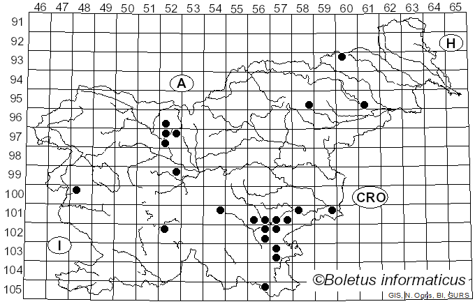 <i>Tyromyces kmetii</i> (Bres.) Bondartsev & Singer (1941)