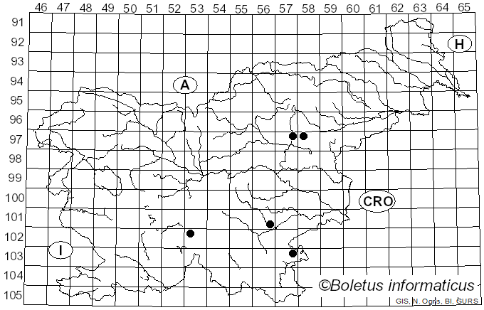 <i>Cortinarius hysginus</i> (M.M. Moser) M.M. Moser (1967)