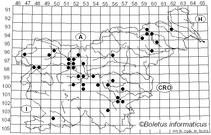 <i>Lyomyces sambuci</i> (Pers.) P. Karst. (1882)