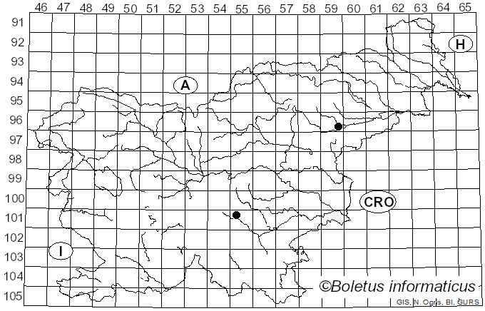 <i>Thaxterogaster lustratus</i> (Fr.) Niskanen & Liimat. (2022)