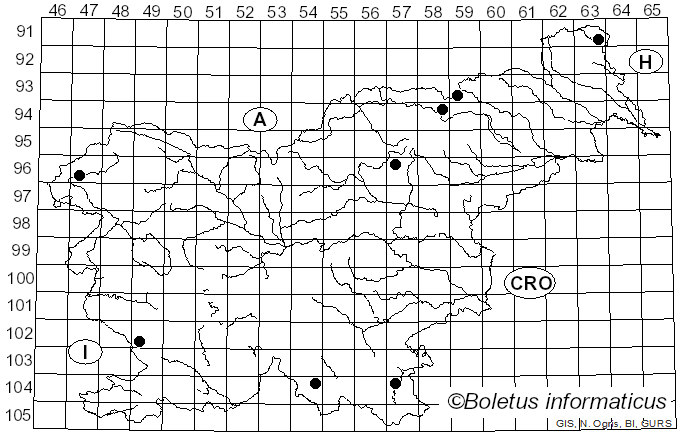 <i>Callistosporium luteo-olivaceum</i> (Berk. & M.A. Curtis) Singer (1946)