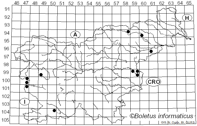 <i>Crinipellis scabella</i> (Alb. & Schwein.) Kuyper (1986)