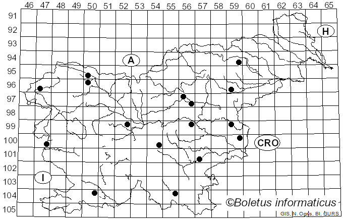 <i>Mycena stylobates</i> (Pers.) P. Kumm. (1871)