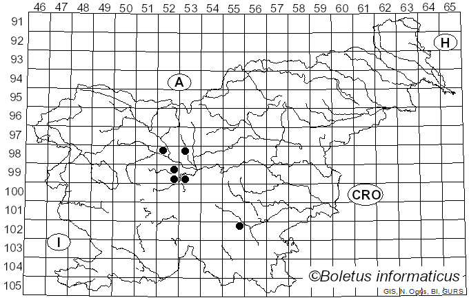 <i>Coriolellus</i> Murrill (1905)