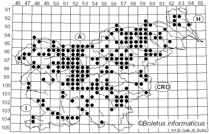 <i>Suillus grevillei</i> (Klotzsch) Singer (1951)