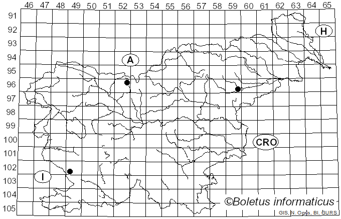 <i>Panellus ringens</i> (Fr.) Romagn. (1945)
