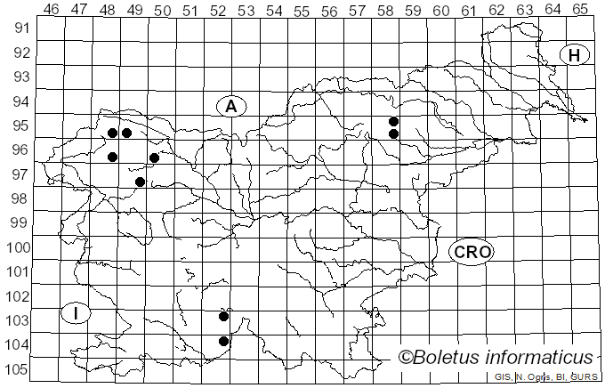 <i>Calicium viride</i> Pers. (1794)
