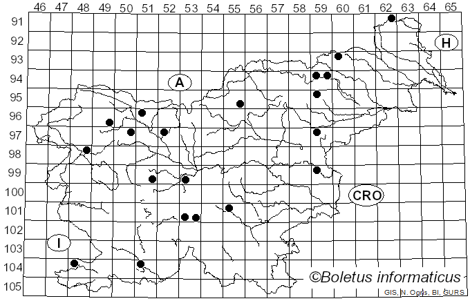 <i>Inocybe sindonia</i> (Fr.) P. Karst. (1879)