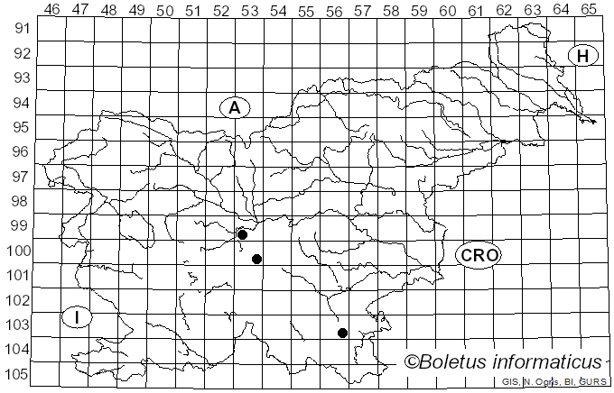 <i>Inocybe calida</i> Velen. (1920)
