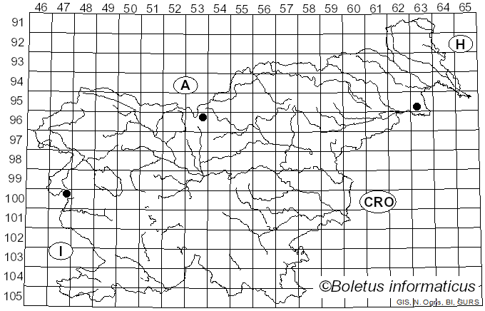 <i>Phaeoacremonium</i> W. Gams, Crous & M.J. Wingf. (1996)