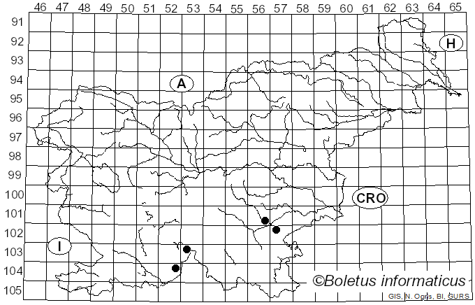 <i>Cortinarius duramarus</i> Jul. Schäff. (1957)