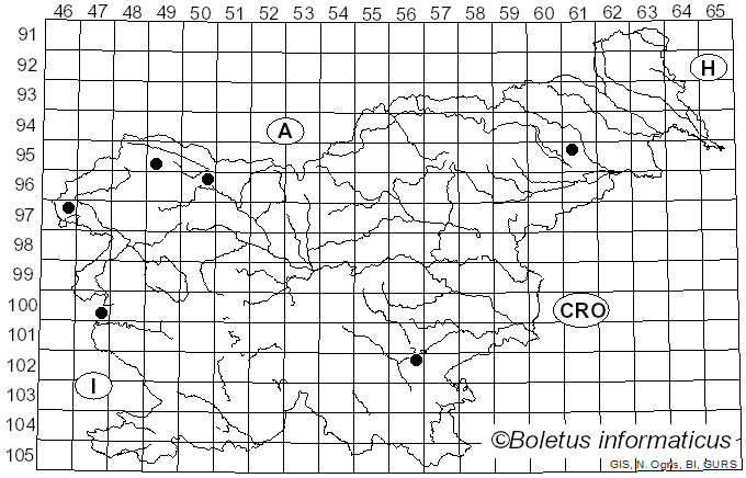 <i>Melanomma</i> Nitschke ex Fuckel (1870)