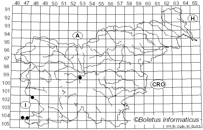 <i>Puccinia allii</i> (DC.) F. Rudolphi (1829)