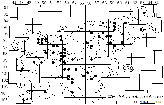 <i>Elaphomyces granulatus</i> Fr. (1829)