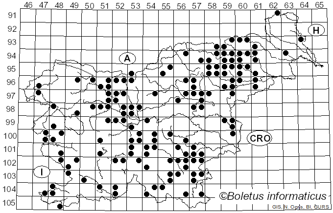 <i>Echinoderma</i> (Locq. ex Bon) Bon (1991)