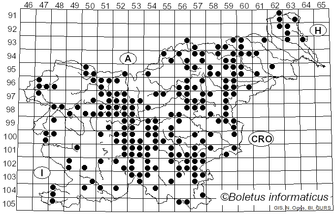 <i>Leccinum scabrum</i> (Bull.) Gray (1821)