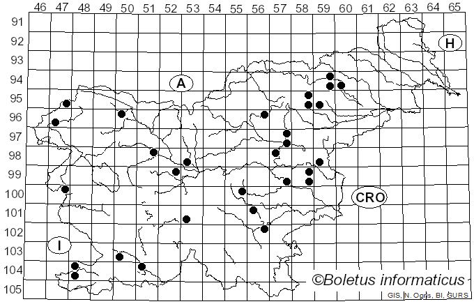 <i>Hericium erinaceus</i> (Bull.) Pers. (1797)