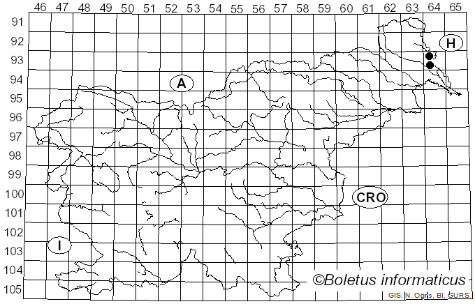 <i>Orbilia xanthoguttulata</i> Baral (2014)