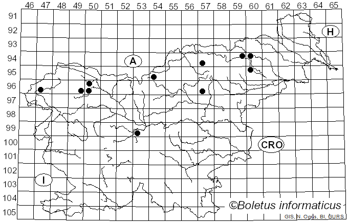 <i>Rhodofomes roseus</i> (Alb. & Schwein.) Kotl. & Pouzar (1990)