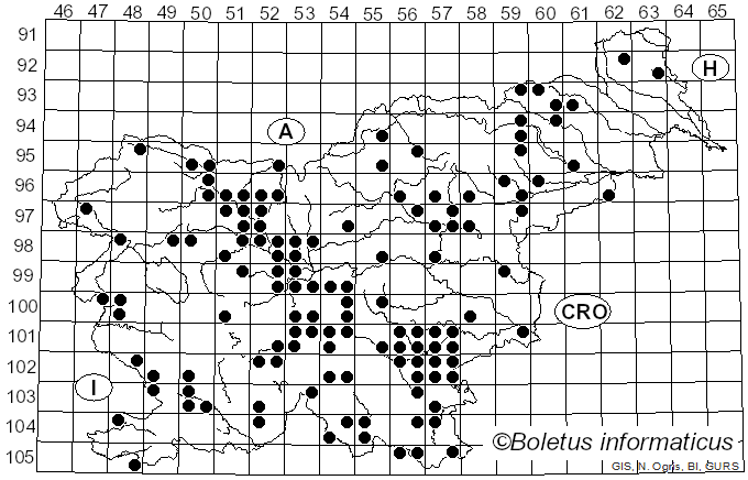 <i>Amanita strobiliformis</i> (Paulet ex Vittad.) Bertill. (1866)