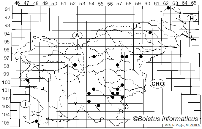<i>Boletus thalassinus</i> (Pilát & Dermek) Hlaváček (1988)