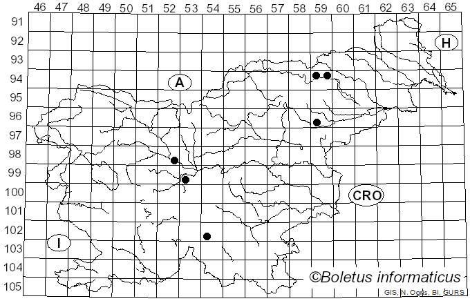 <i>Peziza praetervisa</i> Bres. (1897)