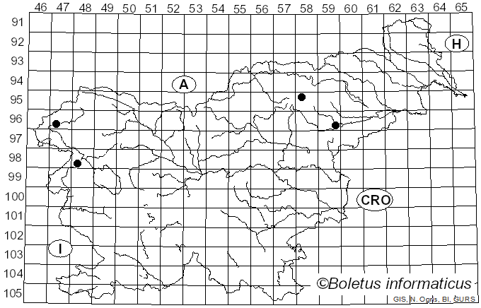 <i>Skeletocutis carneogrisea</i> A. David (1982)