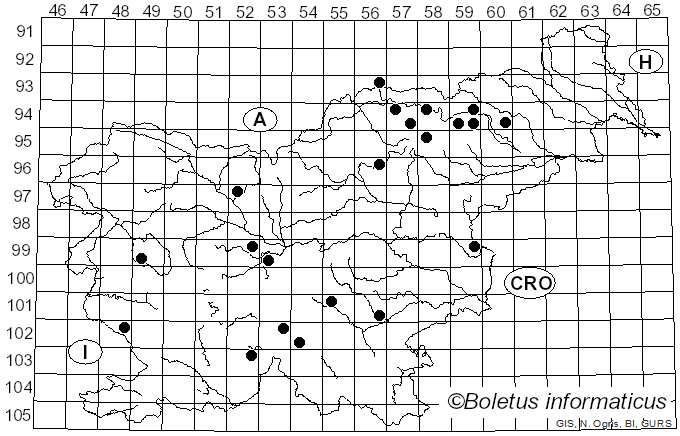 <i>Inocybe fibrosa</i> (Sowerby) Gillet (1874)