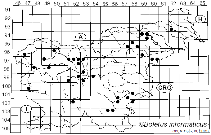 <i>Peniophora incarnata</i> (Pers.) P. Karst. (1889)