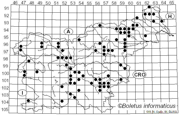<i>Pholiota lenta</i> (Pers.) Singer (1951)