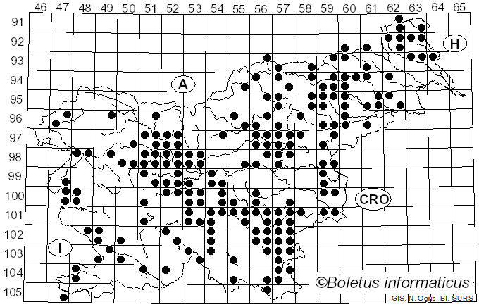<i>Lactarius quietus</i> (Fr.) Fr. (1838)